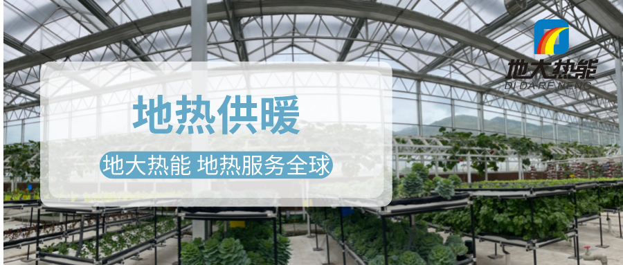 發(fā)揮地?zé)豳Y源優(yōu)勢，地?zé)徂r(nóng)業(yè)實現(xiàn)花卉產(chǎn)業(yè)特色發(fā)展 | 地大熱能 地?zé)岱?wù)全球