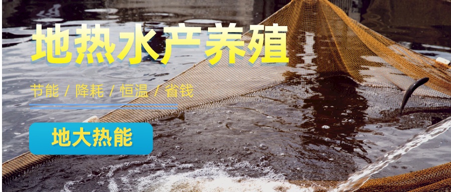地?zé)崴B(yǎng)殖小龍蝦：開啟特色養(yǎng)殖新篇章-地大熱能
