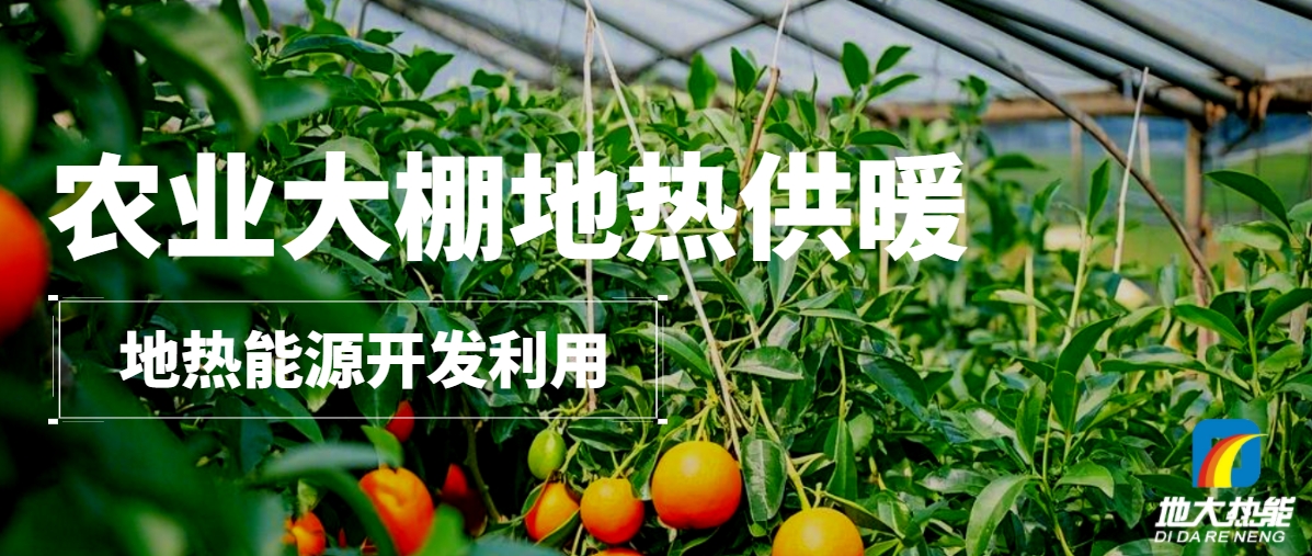 農(nóng)業(yè)大棚地?zé)峁┡壕G色農(nóng)業(yè)新曙光-地?zé)衢_(kāi)發(fā)利用-地大熱能